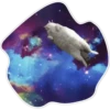 Космические Коты 13
