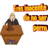 Eres inocente
de no ser
perro
Zamo
