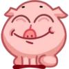 Pig 9