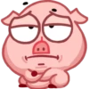 Pig 10