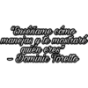 Frases de Rápido Y Furioso 17