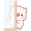 The life of a little pig 16