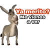 Ya merito? (Burro de Shrek) 18