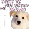 COMO TE
MIRO CUANDO
ME HABLAS