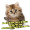 Hola beibi me dejas
reparar tu
atormentado corazón