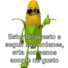 Mazorcas groseras 12