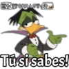Conde Patula 16