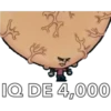 Timmy 20