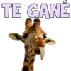 TE GANE