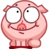 Pig 13