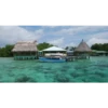Panamá ☆ ♡ 15