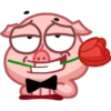 Pig 14