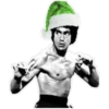Celebrities Navideños 13