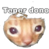 Teper dono