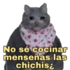 No sé cocinar
menseñas las
chichis
