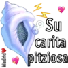 Caracola Mágica 19