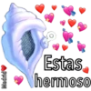 Caracola Mágica 20
