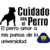 Cuidado con el perro 24