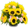 Rosas 17