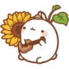 Molang 1 20