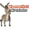 Ya merito? (Burro de Shrek) 19