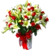 Rosas 18