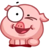 Pig 17