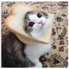 Go