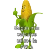 Mazorcas groseras 14