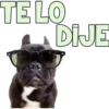 TE LO
DIJE