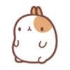 Molang 1 23