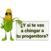 Mazorcas groseras 15