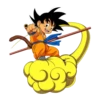 Dragon Ball 13