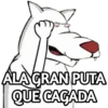 PERRO BLANKO 16