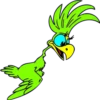 Periquitos (aves) 17