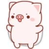 The life of a little pig 23
