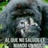 MeMes PaRa GruPos 18