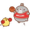 MOLANG
||
