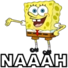 8
NAAAH