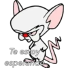 Te estoy
esperando