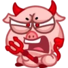 Pig 19