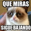 QUE MIRAS
SIGUE BAJANDO
memegenerator.es
