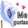 Caracola Mágica 21