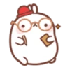 Molang 1 25