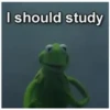 I should study