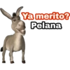 Ya merito? (Burro de Shrek) 21