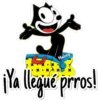 Mateny
ué prros