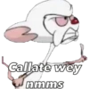 Callate wey
nmms