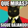 QUE MIRAS?
SIGUE BAJANDO!
memegenerator.es