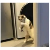 Gatitos haciendo cosas 25